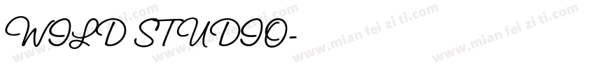 WILD STUDIO字体转换